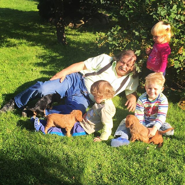 Daddy with grandchildren and puppies